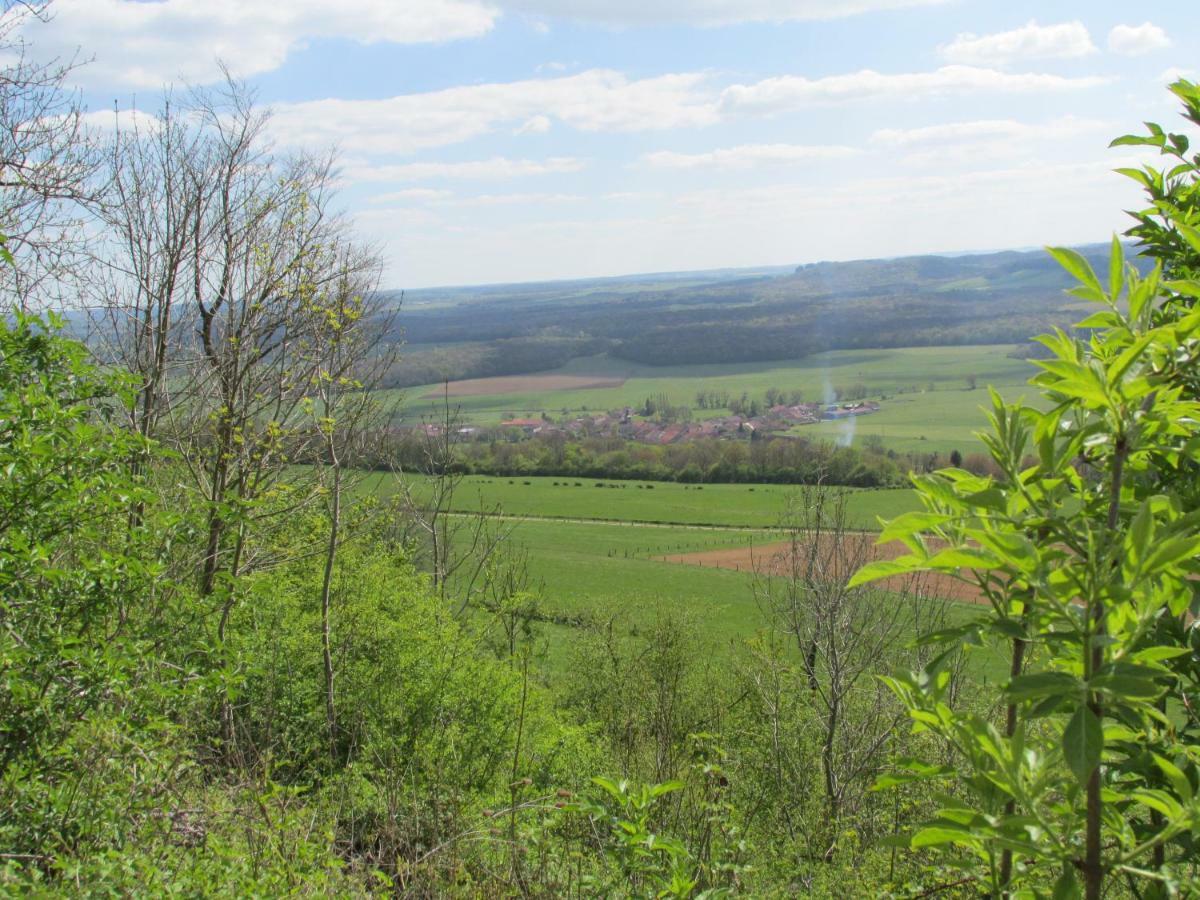 Soulaucourt-sur-Mouzon La Taniere Douce Bed & Breakfast エクステリア 写真