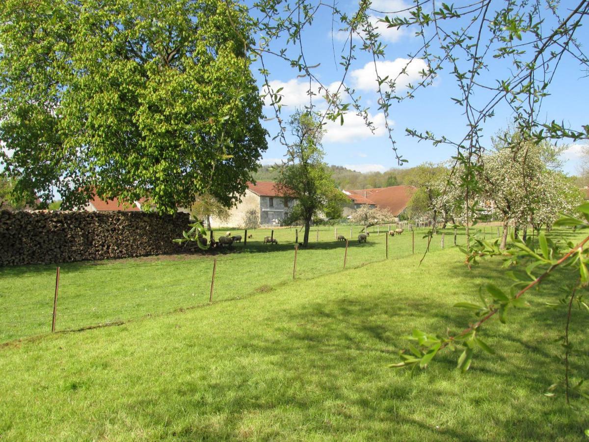 Soulaucourt-sur-Mouzon La Taniere Douce Bed & Breakfast エクステリア 写真