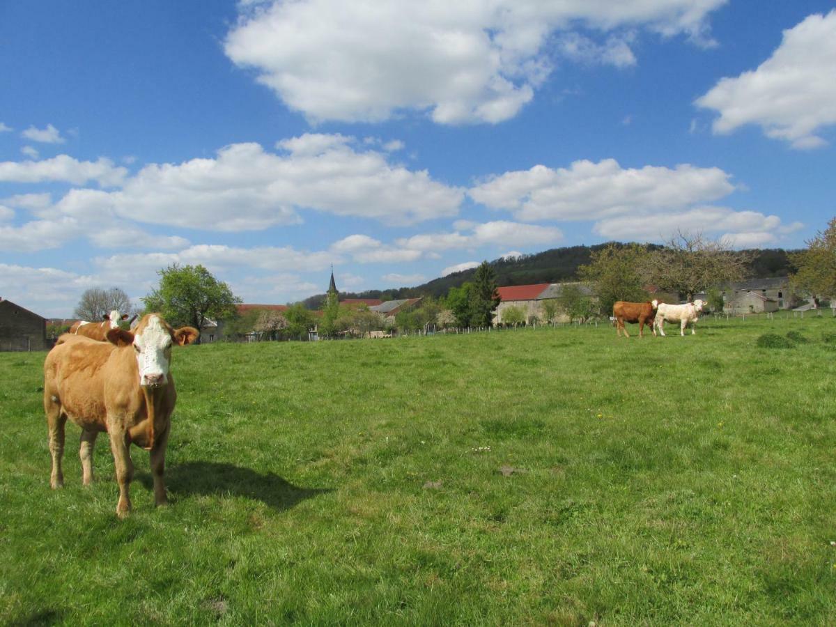 Soulaucourt-sur-Mouzon La Taniere Douce Bed & Breakfast エクステリア 写真
