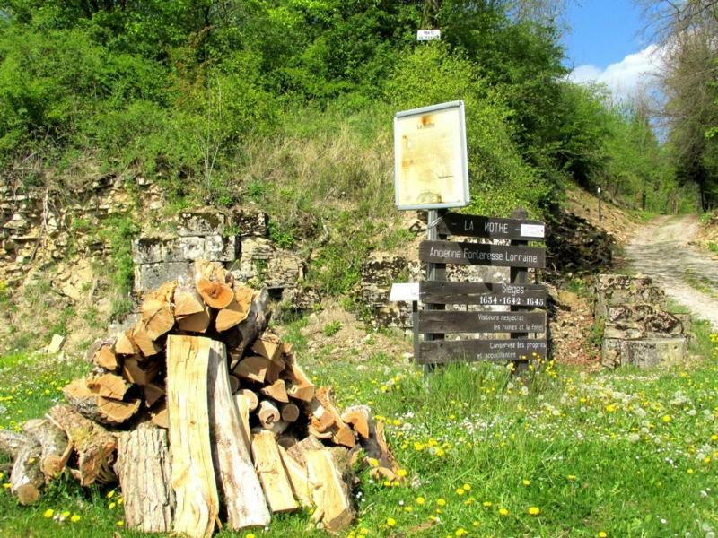 Soulaucourt-sur-Mouzon La Taniere Douce Bed & Breakfast エクステリア 写真